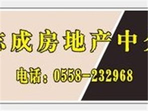 房產建材黃頁與城市聯盟 房地產中介服務的新生態